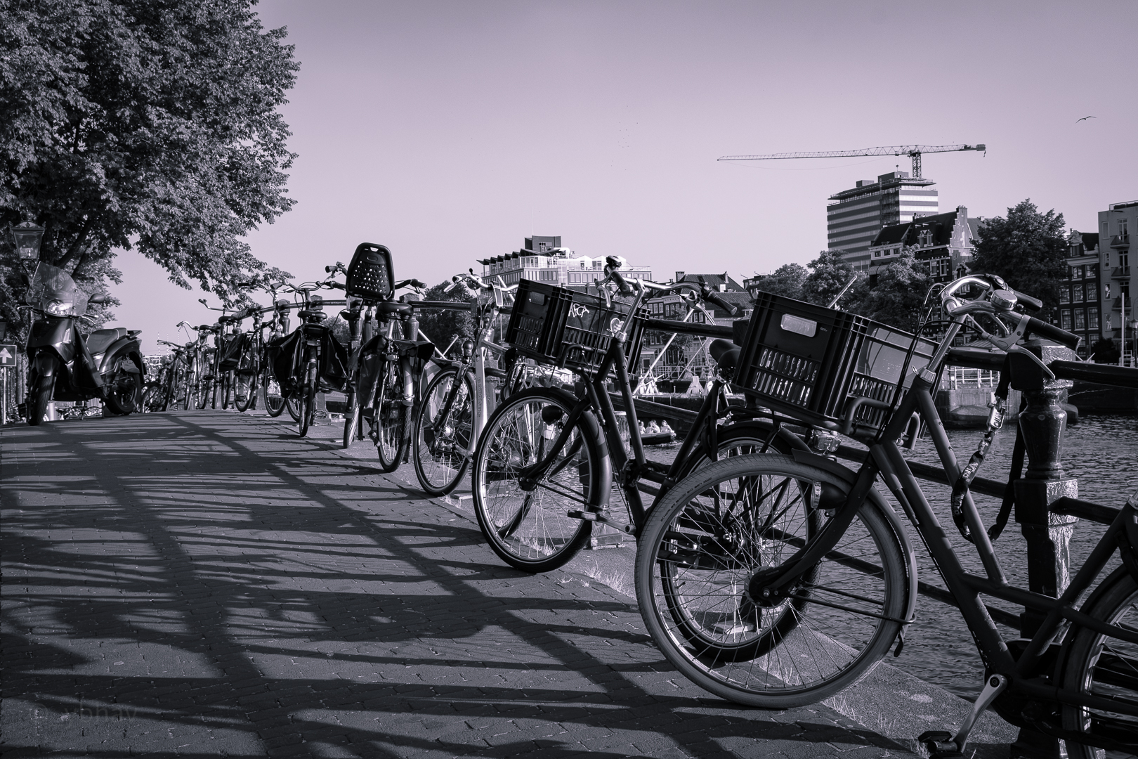 BnW Canals of Amsterdam