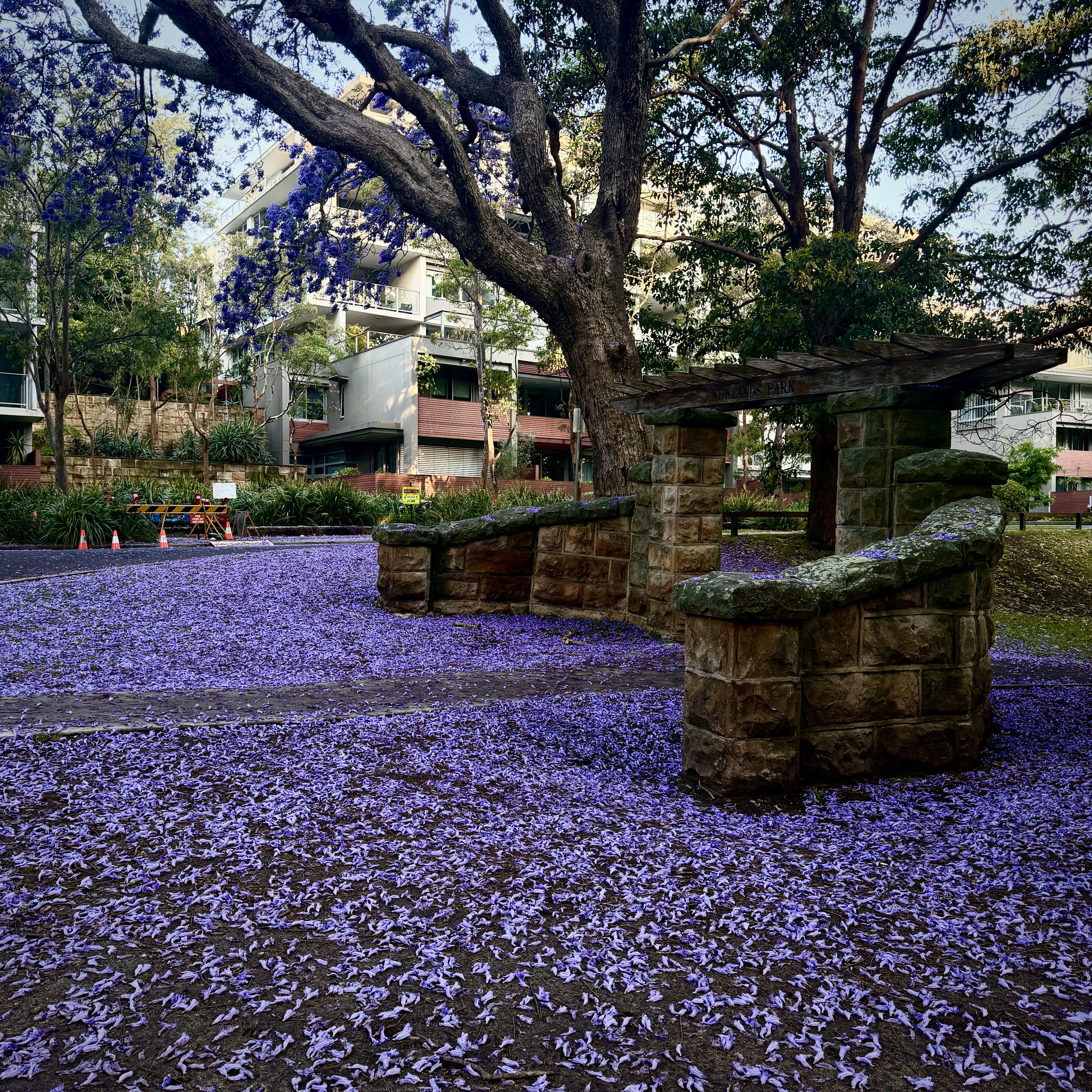 Spring View